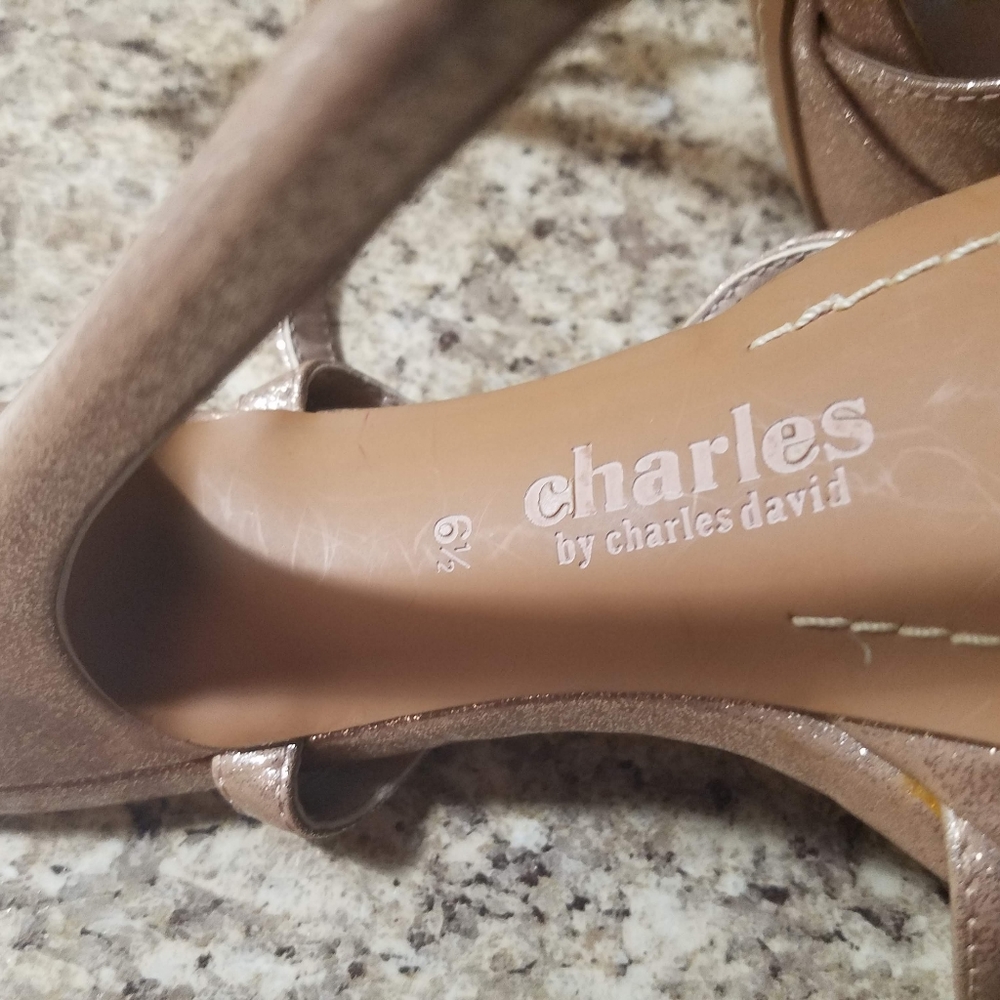 Charles David Stiletto heels NWOT
